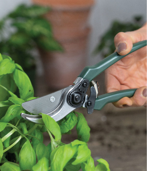 Sprout Clipper Seed & Sprout Pruning Shears
